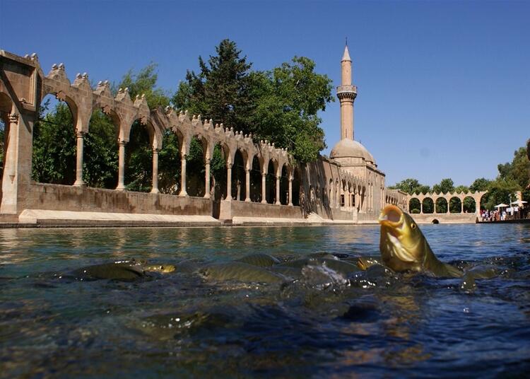 ŞANLIURFA